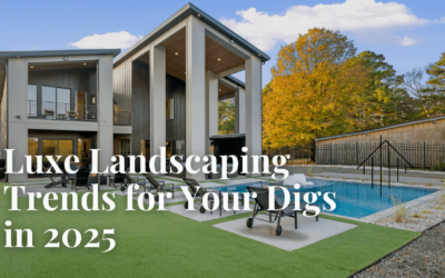 Luxe Landscaping Trends for Your Digs in 2025